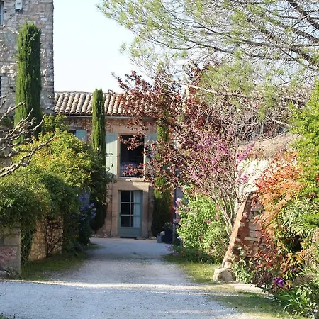 La Pinede De Ragan - Romarin *
