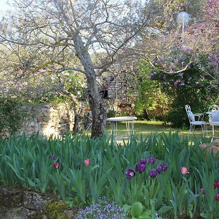 Holiday home La Pinede De Ragan - Romarin Roussillon (Isere)