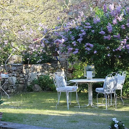 Holiday home La Pinede De Ragan - Romarin